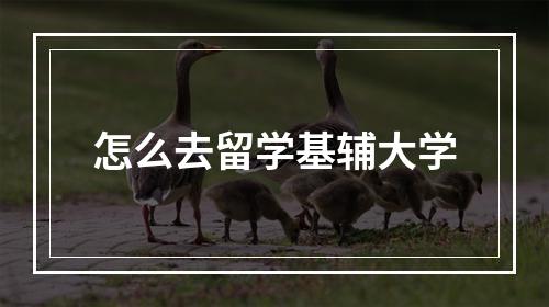 怎么去留学基辅大学