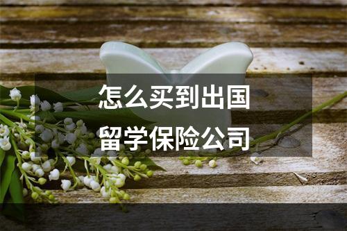 怎么买到出国留学保险公司