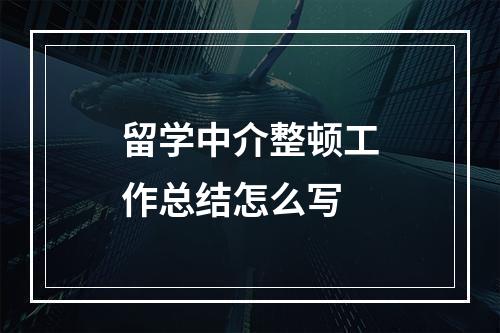 留学中介整顿工作总结怎么写