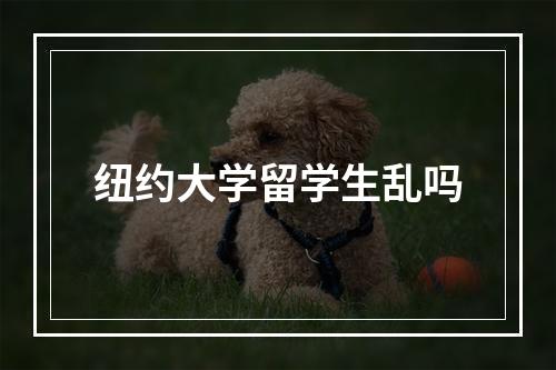 纽约大学留学生乱吗