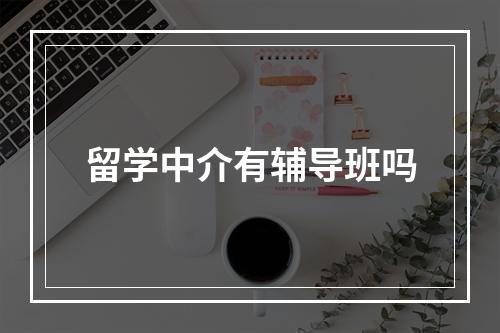 留学中介有辅导班吗