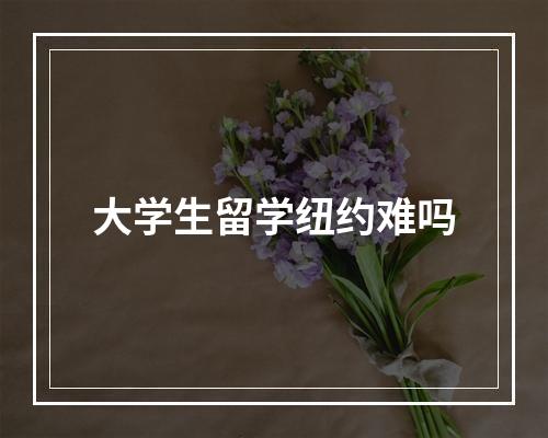 大学生留学纽约难吗