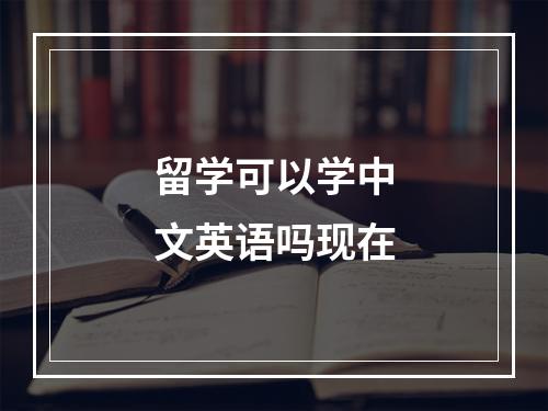 留学可以学中文英语吗现在