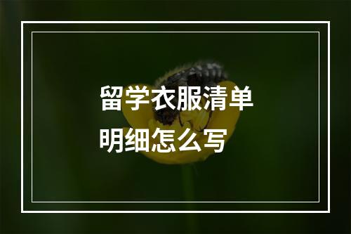 留学衣服清单明细怎么写