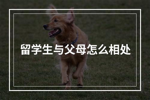 留学生与父母怎么相处