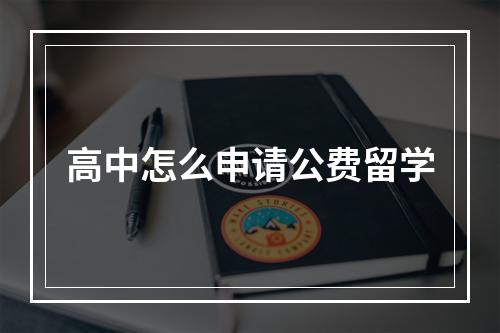 高中怎么申请公费留学