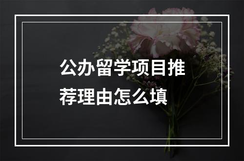 公办留学项目推荐理由怎么填