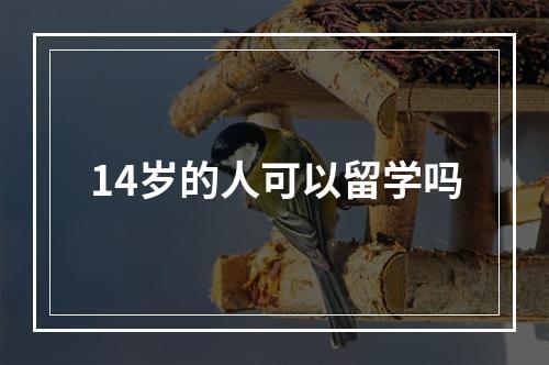 14岁的人可以留学吗