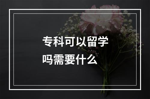 专科可以留学吗需要什么