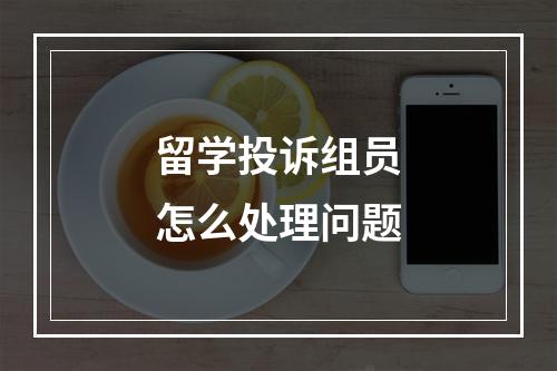 留学投诉组员怎么处理问题