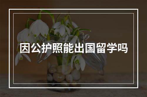 因公护照能出国留学吗