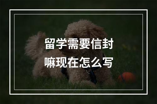 留学需要信封嘛现在怎么写