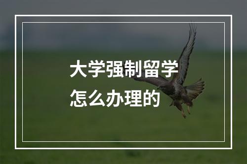 大学强制留学怎么办理的