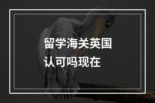 留学海关英国认可吗现在