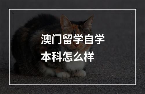 澳门留学自学本科怎么样