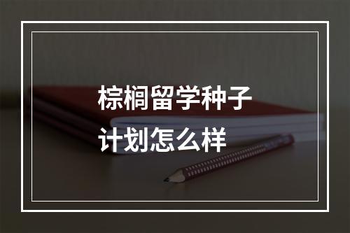 棕榈留学种子计划怎么样