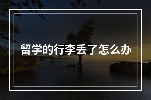 留学的行李丢了怎么办