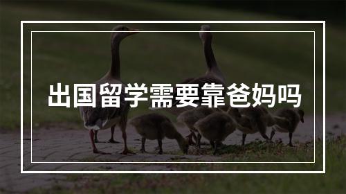 出国留学需要靠爸妈吗