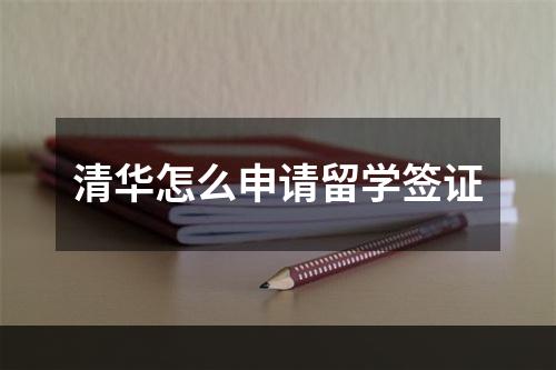 清华怎么申请留学签证