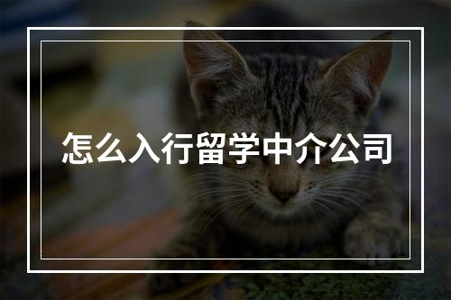 怎么入行留学中介公司