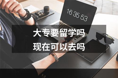 大专要留学吗现在可以去吗