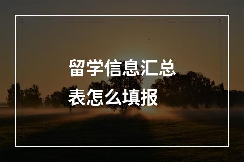 留学信息汇总表怎么填报