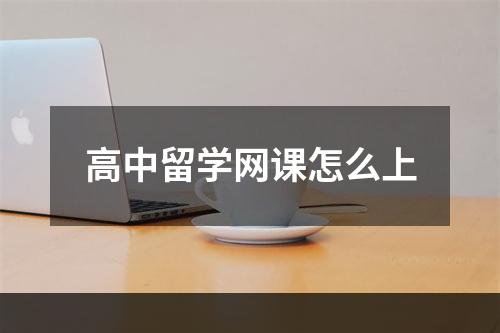 高中留学网课怎么上