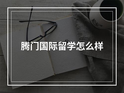 腾门国际留学怎么样