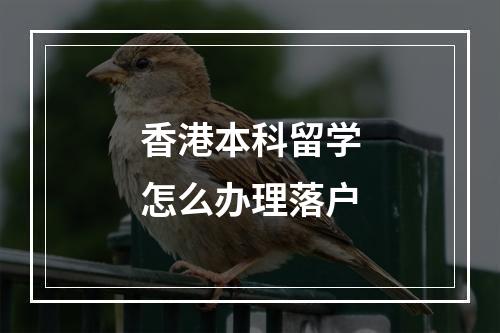 香港本科留学怎么办理落户