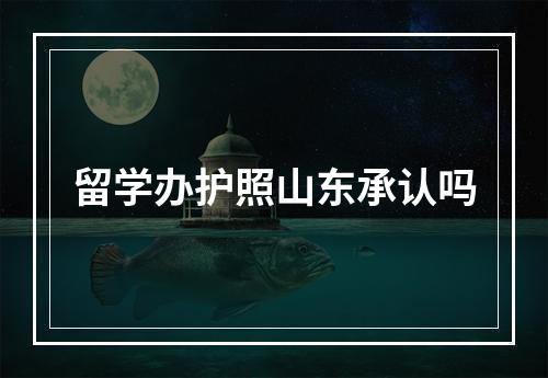 留学办护照山东承认吗