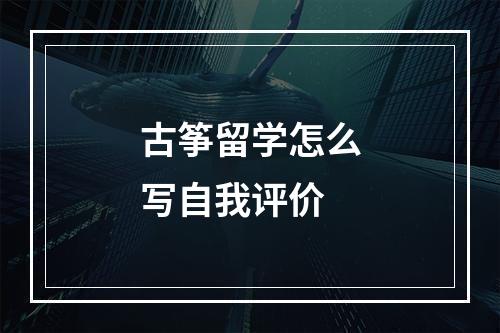 古筝留学怎么写自我评价