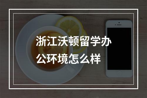 浙江沃顿留学办公环境怎么样