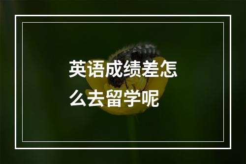 英语成绩差怎么去留学呢