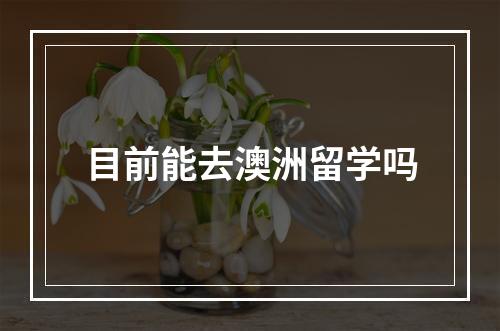 目前能去澳洲留学吗