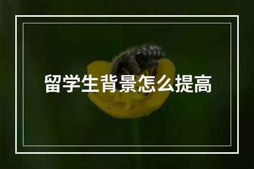 留学生背景怎么提高