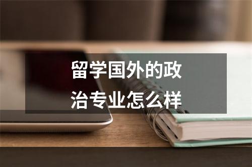 留学国外的政治专业怎么样