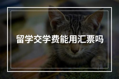 留学交学费能用汇票吗