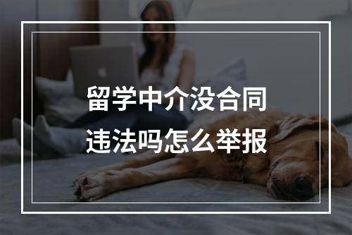 留学中介没合同违法吗怎么举报