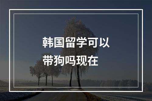 韩国留学可以带狗吗现在