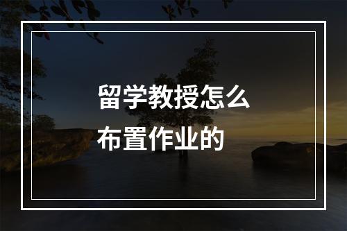 留学教授怎么布置作业的