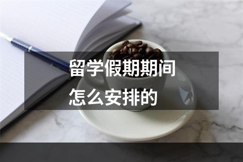 留学假期期间怎么安排的