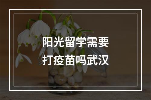 阳光留学需要打疫苗吗武汉