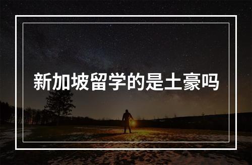 新加坡留学的是土豪吗