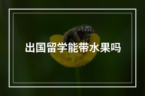 出国留学能带水果吗