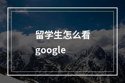 留学生怎么看google