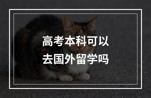 高考本科可以去国外留学吗