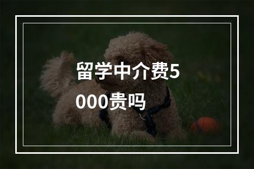 留学中介费5000贵吗