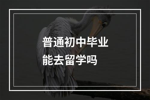 普通初中毕业能去留学吗