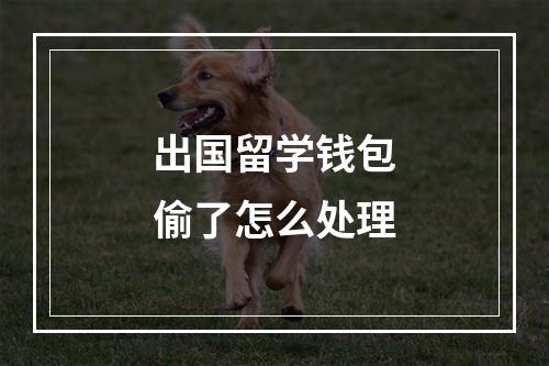 出国留学钱包偷了怎么处理