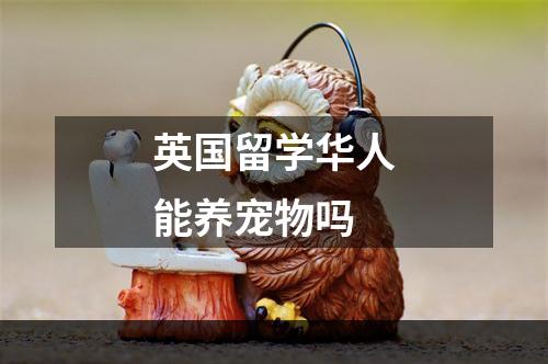 英国留学华人能养宠物吗